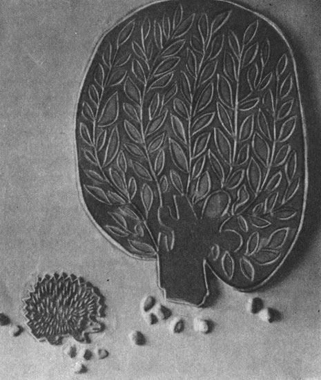 X. .      . . ,  . 1962 	